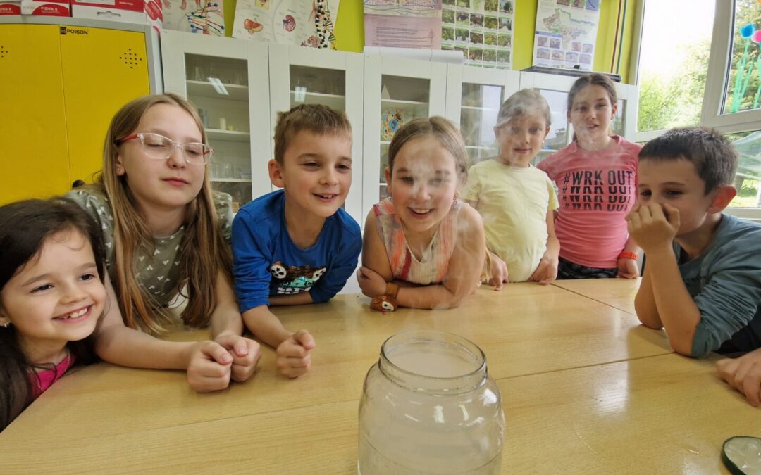 Diseminacija školskog projekta ,,Boravkaški laboratorij 2”